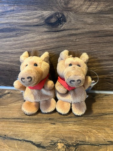 Nici wildschwein - 2x,