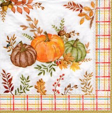 3 Servietten ~ Herbst, Gemüse, Kürbisse, Pilze, Laub ~ 33x33 cm
