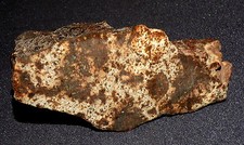 Scheibe Stein-Meteorit NWA