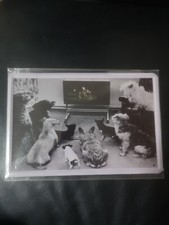 Blechschild Schild 20x30 Hunde schauen Porno TV, lustig, Poster Bild Deko K1