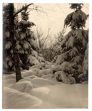 Vintage Winter Foto