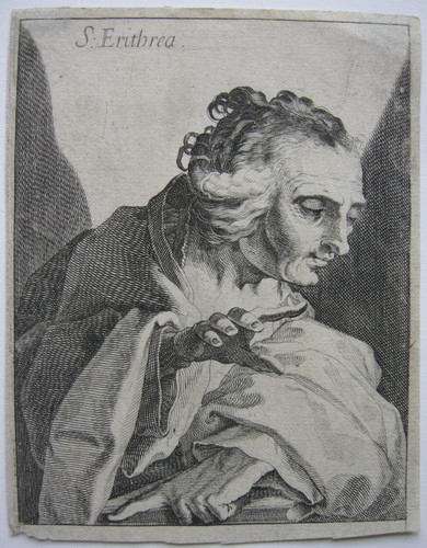 Simon wynouts frisius - wynouts, (c