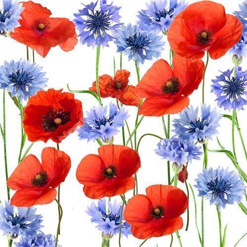 Servietten blumen wiese - blumen,