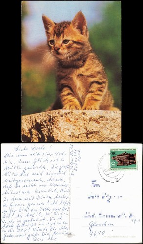 Ansichtskarte tiermotiv karte - ansichtskarte,