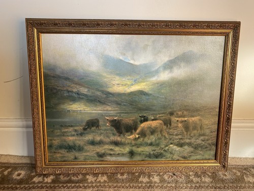 Louis bosworth verletzte - louis,