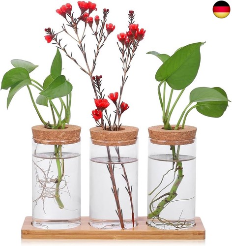 Propagation station ableger - propagation, station,