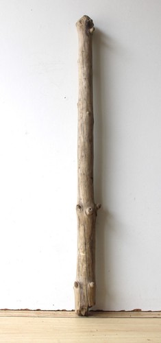 Treibholz schwemmholz - treibholz,