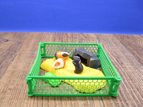 Meerschweinchen