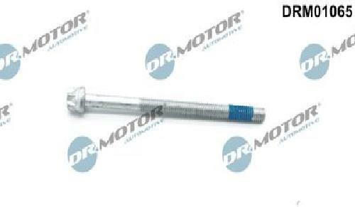 Original motor automotive - original, dr.motor