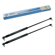 Gasdämpfer für Fritz Meier