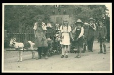 Wilsdruff 1930s - Goat Pulls