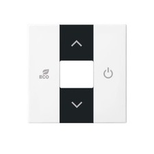 Busch-Jaeger Zentralscheibe