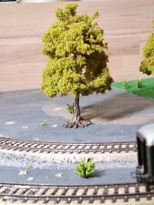 eine Kastanie, Kastanienbaum