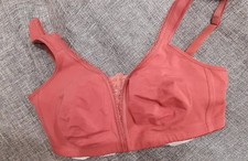 Petit Fleur 80 D Baumwoll-BH Neu