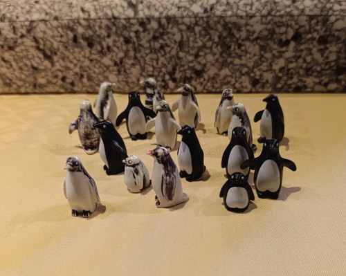 Playmobil wildtiere - playmobil, 15