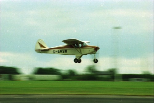 Negativ arsw piper 22 108 - negativ, g-arsw