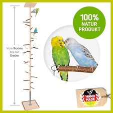 XXL Zimmerhoher Kletterbaum