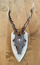 Geweih handbemalt, Design, Deko