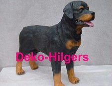 Rottweiler Lebensgroß Stehend