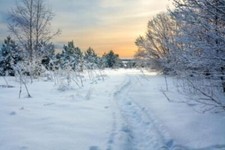 wunderschöne Winterlandschaft