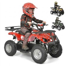 Kinder Quad Elektro 1000W bis