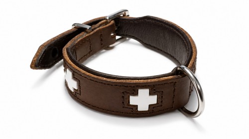 Hundehalsband hunter swiss - hundehalsband,