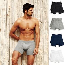 Herren Boxershorts 2x Fruit of