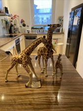 Safari Ltd Schleich Fremdserie Vanishing Wild Giraffen Familie 1:15 bis zu 33 cm