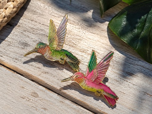 Kolibri broschen set - 2, im