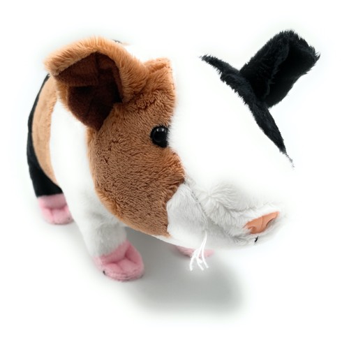 Meerschweinchen caviidae - meerschweinchen,