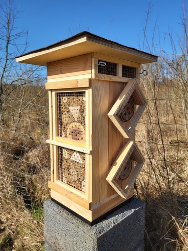 Insektenhotel bienenhaus für - bienenhaus,