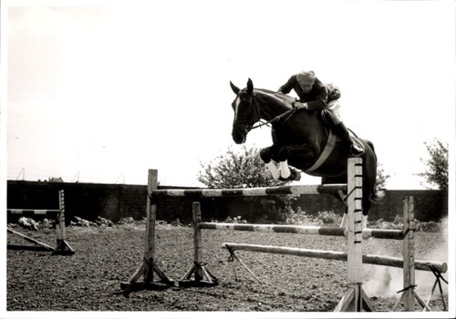 Foto springreiten sprung - foto,