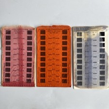 drei 3D-Bildscheiben "Lourdes" für Stereoscope Simplex Lestrade