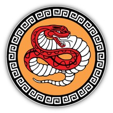 Car Sticker Snake Animal K4538