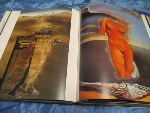 Serna salvador dali - la,
