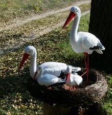 Storchennest nest störche - nest, 4