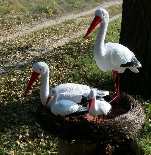 Storchennest nest störche - 4,