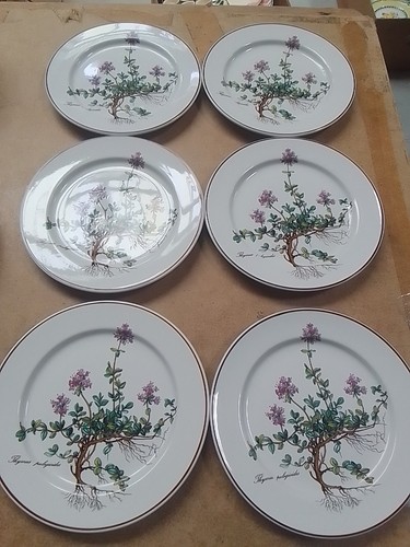 Villeroy und boch botanica - villeroy,