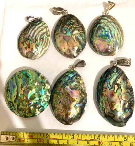 Restposten posten abalone - restposten., 6