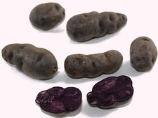 Aromatische Trüffel