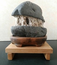 Suiseki Bonseki Bonsai