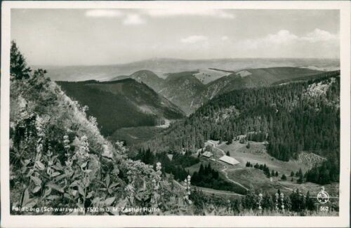 Ansichtskarte feldberg - ansichtskarte,