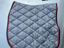 Eskadron Platinum Schabracke, Gr. DL