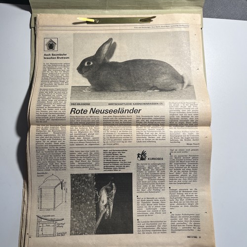 Zeitungsartikel garten - |,