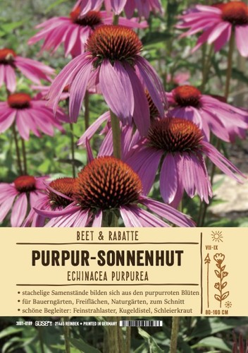 Echinacea pururea