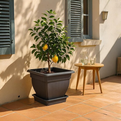 Pflanzkübel blumentopf - pflanzkübel,