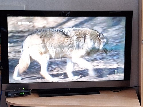 Fernseher sony bravia - fernseher,