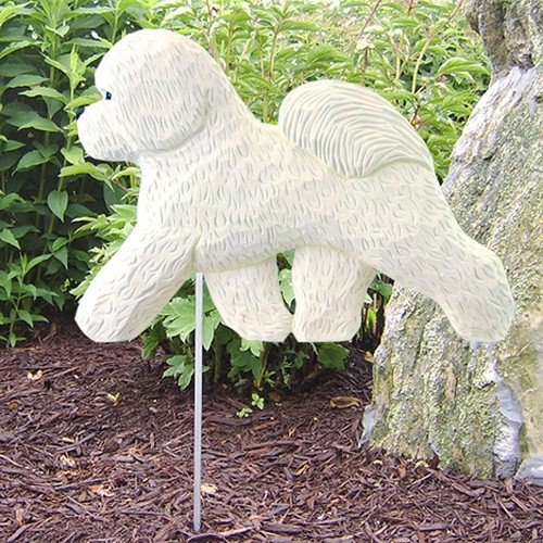 Bichon frise outdoor - frise, garten