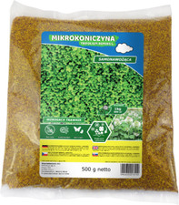 Mikroklee - Weißklee Trifolium repens 500g - Rasenklee bereichert den Rasen