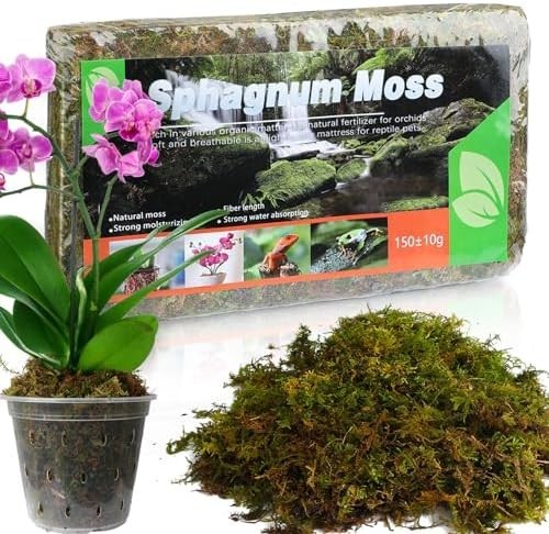Sphagnum moos für pflanzen - sphagnum,